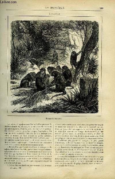 LA MOSAIQUE REVUE PITTORESQUE ILLUSTREE DE TOUS LES TEMPS ET DE TOUS LES PAYS, 3me ANNEE, N37