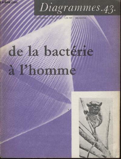 Diagramme N 43 - De la bactrie  l'homme