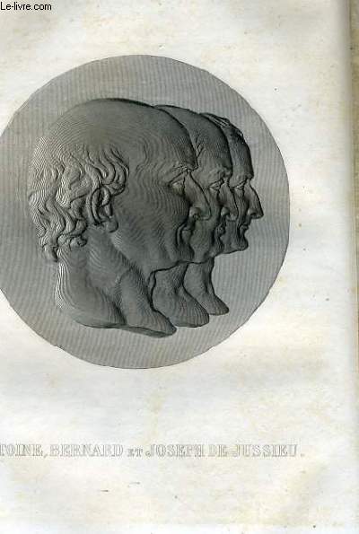 EXTRAIT PORTRAITS ET HISTOIRE DES HOMMES UTILES. ANTOINE, BERNARD ET JOSEPH DE JUSSIEU