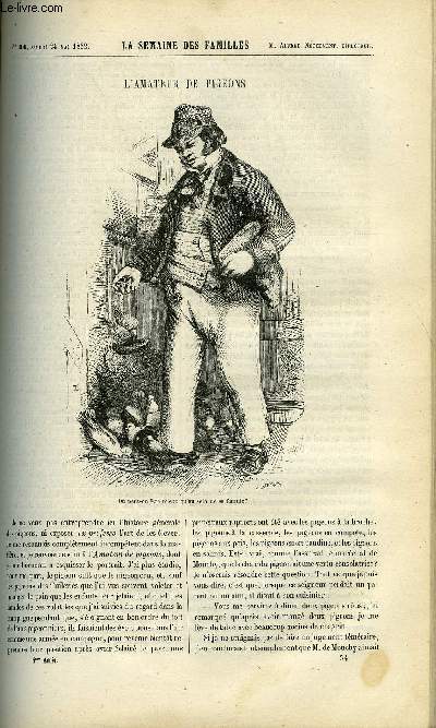 LA SEMAINE DES FAMILLES 4EME ANNEE N34 - L'AMATEUR DE PIGEONS DE FELIX-HENRI, JULES DUVAL DE CHARLES VIENNOT, L'OLIVIER ET SES PRODUITS DE BENEDICT-HENRY REVOIL, LE CHEVAL BLANC DES PEPPERS III DE F. DE GRANET,COMME ON CONNAIT LES SAINTS - ON LES HONORE