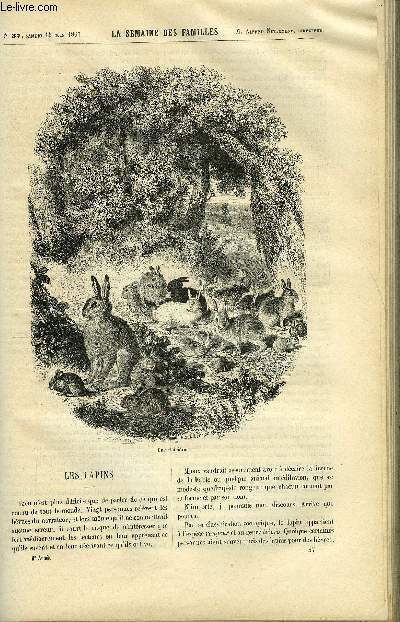 LA SEMAINE DES FAMILLES 9EME ANNEE N37 - LES LAPINS DE BENEDICT-HENRY REVOIL, FRERE PAUL IX DE ETIENNE MARCEL, LE SAINT-GRAAL II DE F.H. DE BARTHELEMY, UN CHASSEUR DE LA GARDE NATIONALE DE FELIX-HENRI, CLAIRE DE FOURONNE III DE ALFRED DE THEMAR