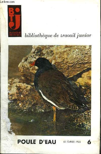BTJ - BIBLIOTHEQUE DE TRAVAIL JUNIOR N°6 - POULE D'EAU