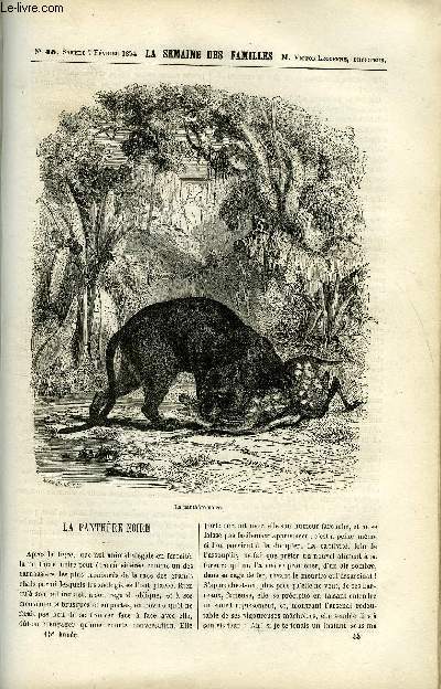 LA SEMAINE DES FAMILLES 15EME ANNEE N45 - LA PANTHERE NOIRE DE R. SAINT-VICTOR, UNE IDOLE II DE ZENAIDE FLEURIOT, LE PERE SIMON, BROCANTEUR DE ***, LA FALAISE DU CALVAIRE III DE HIPPOLYTE AUDEVAL, BIBLIOGRAPHIE DE C. LAWRENCE, NOTRE-DAME DE FOURVIERE