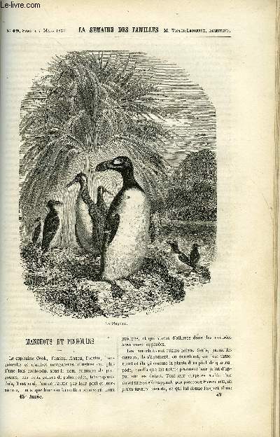 LA SEMAINE DES FAMILLES 15EME ANNEE N49 - MANCHOTS ET PINGOUINS DE R. SAINT-VICTOR, LE CAUCASE DE ELIE VERNON, LE THEATRE DE SAINT-CYR DE ACHILLE TAPHANEL, UNE IDOLE VII DE ZENAIDE FLEURIOT, LE MOIS DE SAINT JOSEPH DE CLAUDIUS HEBRARD