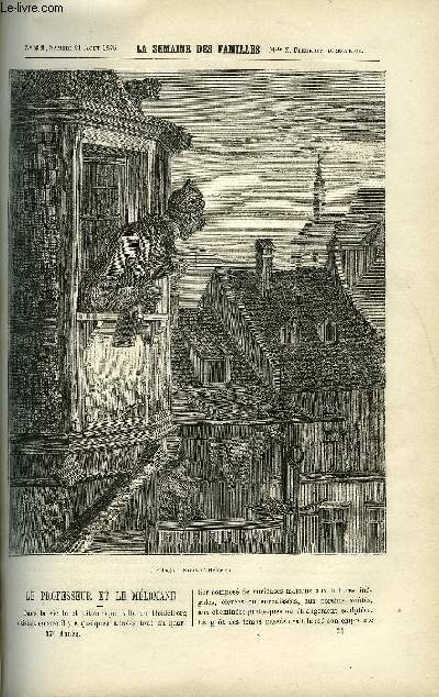 LA SEMAINE DES FAMILLES 17EME ANNEE N21 - LE PROFESSEUR ET LE MELOMANE DE MME DE MAUCHAMPS, LA FUITE EN EGYPTE III DE G. DE LA LANDELLE, EN VACANCES DE BATHILD BOUNIOL, MONSIEUR NOSTRADAMUS XXII DE ZENAIDE FLEURIOT