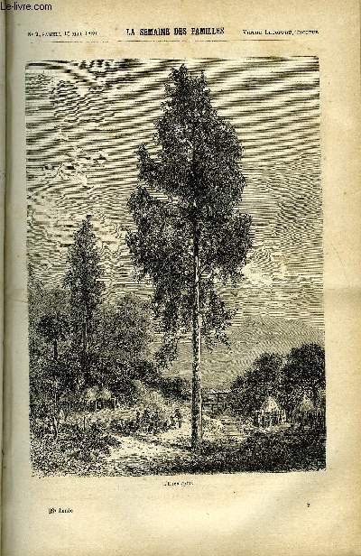 LA SEMAINE DES FAMILLES 28EME ANNEE N7 - LES EUCALYPTUS DE H. DE LUSILLY, MIDI A QUATORZE HEURES VII DE J. GIRARDIN, SOUVENIRS DE J. MARBEUF, MORT DE CHRISTOPHE COLOMB DE CH. BARTHELEMY, L'ERREUR DE LA BARONNE VI DE ZENAIDE FLEURIOT