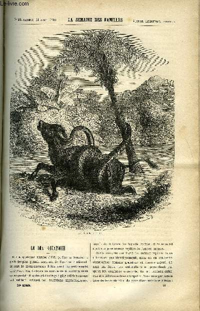 LA SEMAINE DES FAMILLES 28EME ANNEE N21 - LE BOA AQUATIQUE DE H. DE LUSILLY, PROVERBE DE FRANCIS NETTEMENT, M. LE COMTE DE FALLOUX DE OSCAR HAVARD, UTRECHT DE CH. BARTHELEMY, L'ERREUR DE LA BARONNE XXV DE ZENAIDE FLEURIOT