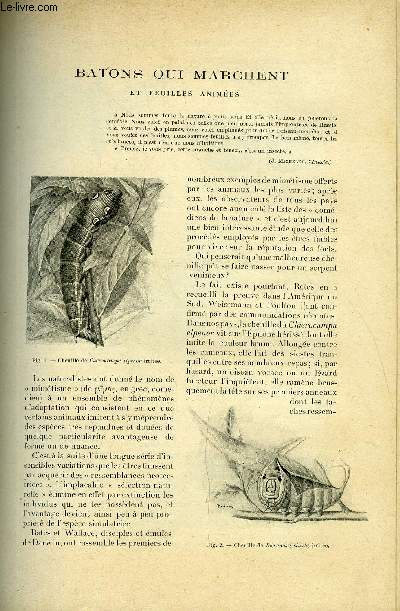 LE MONDE MODERNE TOME 1 - Batons qui marchent et feuilles animes par Lon Grardin, L'association gnrale des tudiants de Paris par Paul Wiriath