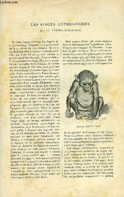 LE MONDE MODERNE TOME 9 - LES SINGES ANTHROPOIDES ET LE PITHECANTHROPUS