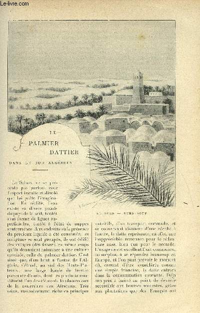 LE MONDE MODERNE TOME 12 - LE PALMIER DATTIER DANS LE SUD ALGERIEN