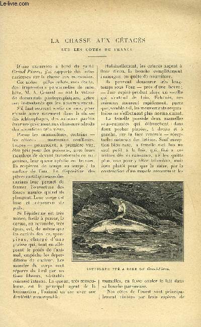 LE MONDE MODERNE TOME 14 - LA CHASSE AUX CETACES SUR LES COTES DE FRANCE