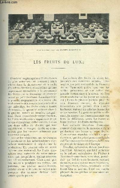 LE MONDE MODERNE TOME 18 - LES FRUITS DE LUXE