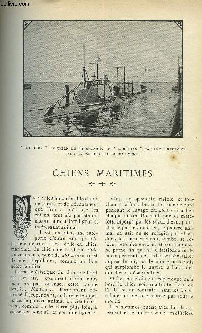 LE MONDE MODERNE TOME 20 - CHIENS MARITIMES