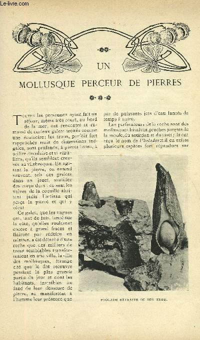 LE MONDE MODERNE TOME 21 - UN MOLLUSQUE PERCEUR DE PIERRES + LA CHAPELLE D'URONIA