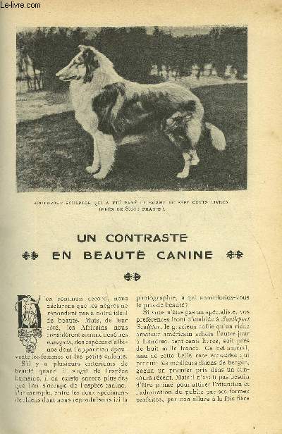 LE MONDE MODERNE TOME 22 - UN CONTRASTE EN BEAUTE CANINE