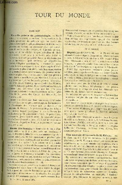 LE COSMOS - REVUE DES SCIENCES ET DE LEURS APPLICATIONS N 8 - Nouvelle galerie de palontologie, Une nouvelle dcouverte de M. Edison, Machine a coudre lectrique, Un canon qui fait deja du bruit, Un empoisonnement, Nouvelle machine a composer