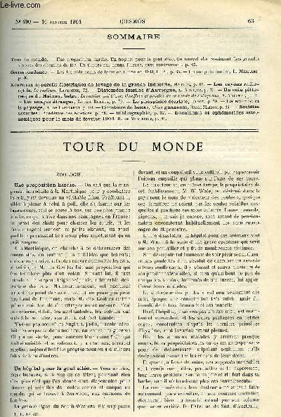 LE COSMOS - REVUE DES SCIENCES ET DE LEURS APPLICATIONS N 990 - Une proposition hardie, Un hopital pour la gent aile, Un nouvel lectro-aimant, Les grandes vitesses des chemins de fer, Un timbre qui donne l'heure, sans mouvement, Les tremblements
