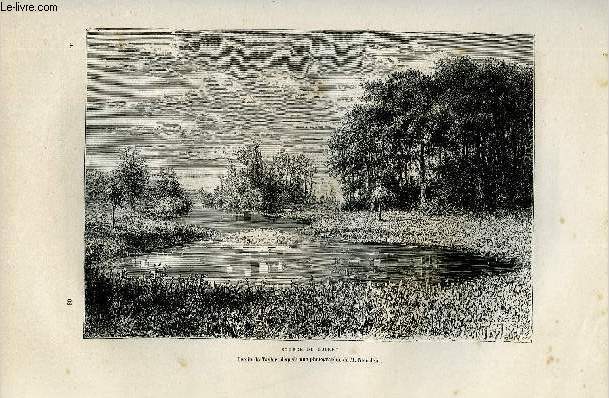 NOUVELLE GEOGRAPHIE UNIVERSELLE - LA TERRE ET LES HOMMES - II. LA FRANCE - Chapitre VII : Le bassin de la Loire - Bords de la Loire, Loire, Allier, Loiret, Maine, Authion, Loire et ses crues, Sologne, Brenne, Basse-Loire, Lac de grand-lieu, Grande-Brire