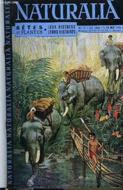 NATURALIA BETES ET PLANTES N 77 - Les lphants au travail par Lafugie, En compagnie des crapauds par Jean Rostand, Le docteur Roux, bienfaiteur de l'humanit par Pierre Gauroy, La naissance du roi de Rome par le docteur P. Ganire, Le sanglier, rcit