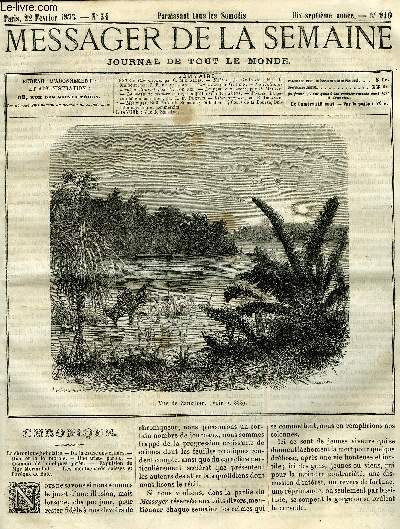 LE MESSAGER DE LA SEMAINE N 910 - Fables : le grain de sable, le malheur par P.B. de Valades, Zanzibar par G. de S, La Hollande a vol de touriste par V. Fournel, La pomme terre par P. Maigne, La main de velours (suite) par Mlle G. d'Ethampes