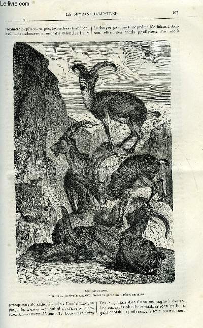 LA SEMAINE ILLUSTREE ET LE MESSAGER DE LA SEMAINE N 24 - Le salon par J.J. Clouet, Les ponts de Londres par Charles Simond, La fournaise (suite) par Charles Deslys, Lettres amricaines par Jean d'Outremer, Papillons de mer par H. Martin dairvault, L'art