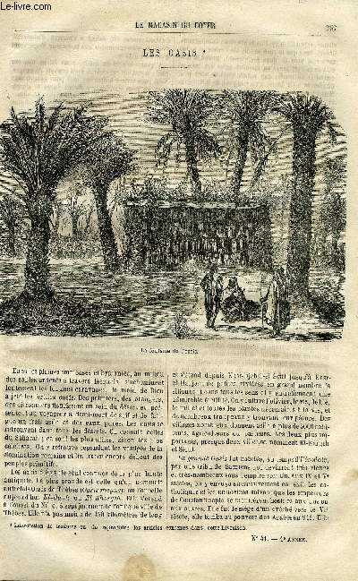 LE MAGASIN DU FOYER N 41 - Les oasis par A. Tholmey, Une vengeance amricaine (suite) par Ernest Schnaiter, La fille du banquier (suite) par Louis Bailleul, Les gubres adorateurs du feu a Bakou par E. Sch, La piraterie chez les anciens et les modernes