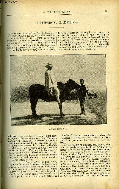 La vie scientifique n 18 - Le boeuf-cheval de Madagascar par Daniel Bellet, Les projections anaglyphiques monochromes et polychromes par Albert Reyner, La chasse aux papillons par M, Un nouvel appareil autographe amricain par M.G., Pont-levis des mines