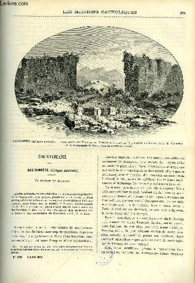 Les missions catholiques n 1253 - Bas-Zambze, la mission de Boroma, Les gni ou gni-pa par Paul Vial, A la cote d'or, journal du R.P. Gallaud, Les missions catholiques au XIXe sicles