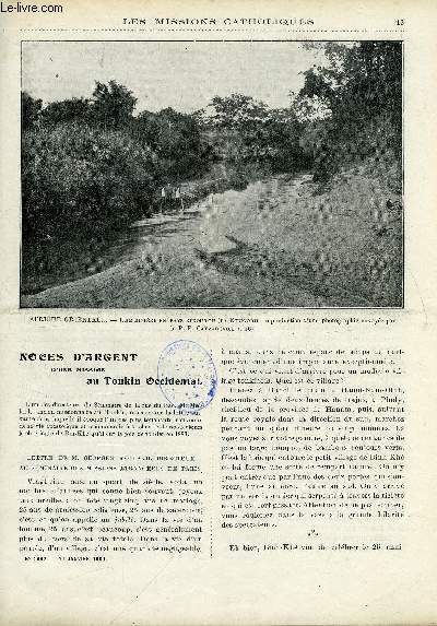 Les missions catholiques n 1962 - Noces d'argent d'une mission au Tonkin occidental, Les mmoires d'un sauvage, Notes zoologiques sur la Nouvelle Zlande par le R.P. Cognet