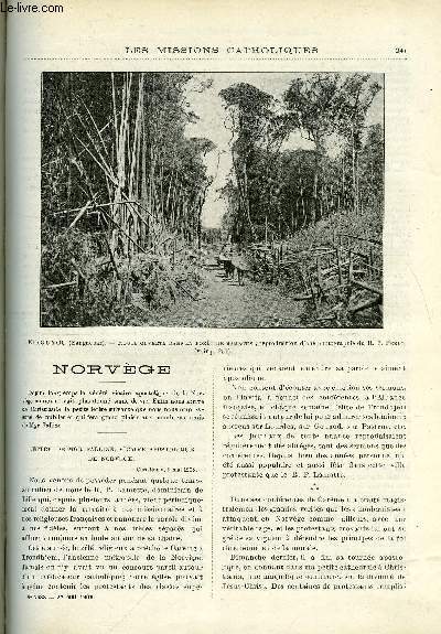 Les missions catholiques n 2033 - Norvge, L'meute de Villupuram, Autour d'Haphong, Aux iles Hawaii, Une station agricole au Kenya