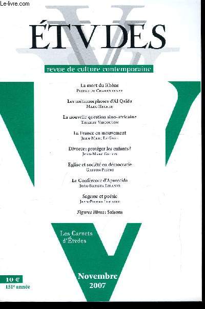 Etudes tome 407 n 11 - La mort du Rhone par Pierre de Charentenay, Les mtamorphoses d'Al Qada par Marc Hecker, La nouvelle question sino-africaine par Thierry Vircoulon, La France en mouvement par Jean Marc Le Gall, Divorce : protger les enfants ?