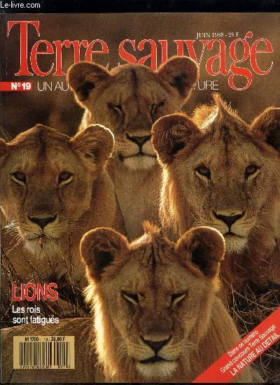 Terre sauvage n 19 - Lions : les rois sont fatigus par Jenny Devitt, Bergers des cevennes : il faut avoir le gout des btes par Brigitte Hemmerlin, Un oiseau de fer dans un fourreau de plumes : le flamant par Elena Adam, Meteorites : poussire d'toiles