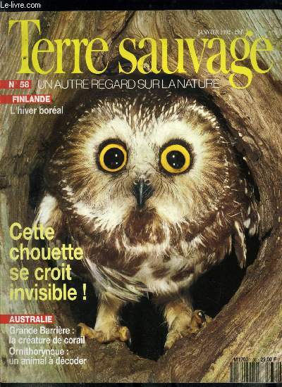 Terre sauvage n 58 - Ornithorynque : un animal a decoder par Guillaume Rondelet, Couguar : l'Amrique redcouvre son lion par Harley Shaw, Hiver boral : trilles et chuchotements dans la taiga par Hannu Hautala, Petite nyctale : la chouette qui se croit