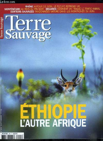 Terre sauvage n 220 - Ethiopie-Djibouti : la Corne de l'Afrique parie sur la nature, Le glada : un monarque aux pieds d'argile, Le loup d'Abyssinie : la meute assige, Les lacs miraculeux du sultanat d'Aoussa, Le fou qui retourne le sable, Terre