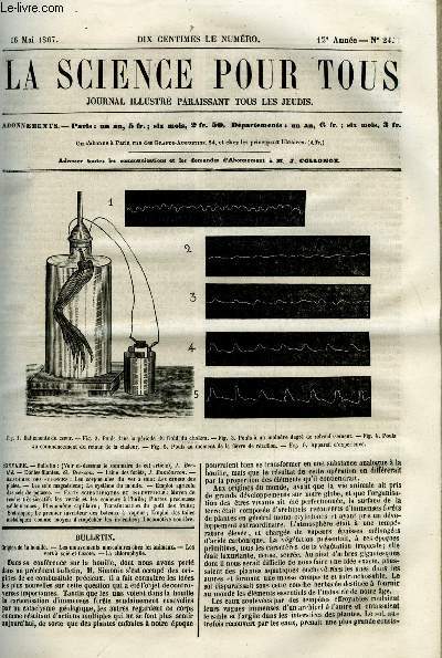 La science pour tous n 24 - Origine de la houille, Les mouvements musculaires chez les animaux, Les vers a soie et l'azote, La chlorophylle, Etoiles filantes par G. Bresson, Laine des forts par J. Rambosson, Les corpuscules du ver a soie : Les causes