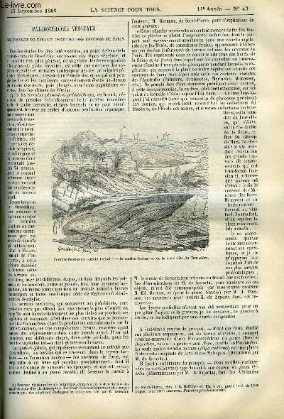 La science pour tous n 43 - Palontologie vgtale, les fossiles du terrain tertiaire des environs de Paris par David Sauza, Extraction du grisou dans les mines, Ce que coute un morceau de houille, Moyen d'augmenter le rendement des vignes, Un ballon