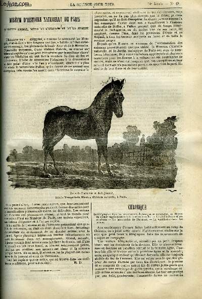 La science pour tous n 49 - Musum d'histoire naturelle de Paris, un nouvel animal, mtis de l'hmione et de la jument, La tlgraphie dans les mouvements de troupe en campagne, Le role du magntisme terrestre dans la production des mtores par Gdon