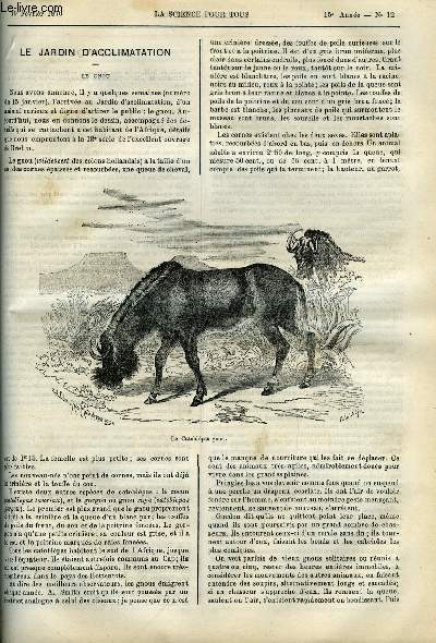 La science pour tous n 12 - Le jardin d'acclimatation, le gnou, Intensit du froid, Le vote mcanique, Perfectionnement dans la fabrication du pain, Zoologie, l'insecte a cire par Henri Villain, L'iodal et ses proprits anesthsiques par Guyot, Bateau