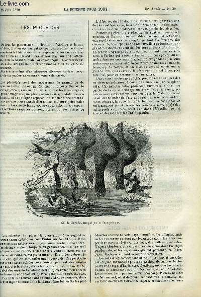 La science pour tous n 30 - Les plocids par A. E. Brehm, Entomologie agricole, les oestres par Alexandre Landrin, Astronomie, le mouvement dans l'univers par Henri Villain, Sur la reproduction scissipare des nadiens par Edm. Perrier, Sur un orage