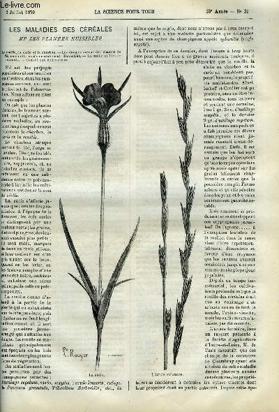 La science pour tous n 31 - Les maladies des crales et les plantes nuisibles par Mary Durand, Les mouches au point de vue de l'hygine, Minralogie, graphite ou plombagine par Henri Villain, Le systme mtrique en Russie, Sur les rsultats obtenus