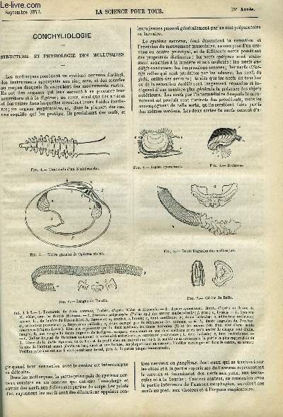 La science pour tous - Structure et physiologie des mollusques, La science agricole par Henri Villain, Proprit alimentaire de la coca par Ch. Gazeau, Le venin du scorpion par Jousset, De la rglementation a tablir dans la fabrication du pain pendant