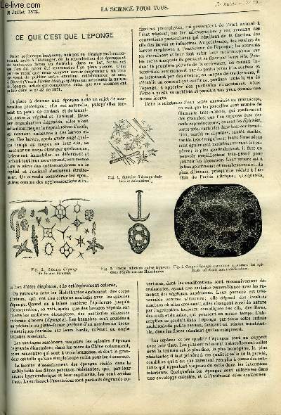 La science pour tous n 29 - Ce que c'est que l'ponge, L'atmismomtre, nouvel instrument pour mesurer l'vaporation par M. Piche, Production de la laine en France, Evolution du Glycogne dans l'oeuf des oiseaux par M. Claude Bernard, Sur les changements