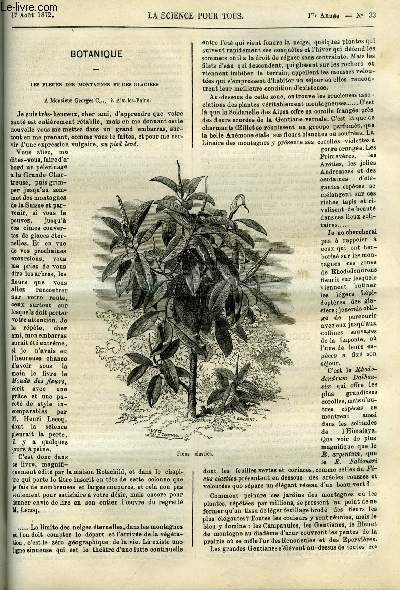 La science pour tous n 33 - Les fleurs des montagnes et des glaciers, La phosphorescence animale, Une ducation de vers a soie, Recherches sur la fermentation alcoolique par M. Dumas, De l'amlioration des vins par le chauffage, La guerre de 1870