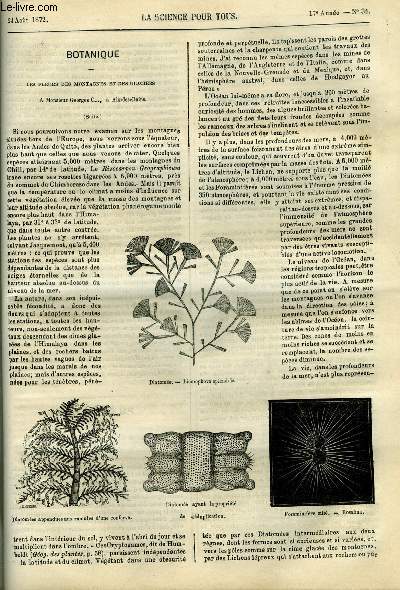 La science pour tous n 34 - Les fleurs des montagnes et des glaciers par H. Lecoq, Le metropolitan-railway de Londres par J. Girard, Sur un dpot osseux situ au pied du Mont-Dol, Exploitation des terres sablonneuses, A propos du phylloxera vastatrix