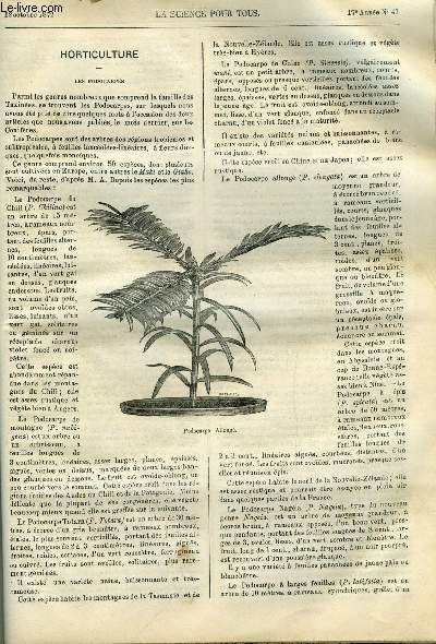 La science pour tous n 41 - Horticulture, les podocarpes, De l'utilit d'une chimie archologique, Du parasitisme vgtal dans les altrations du pain par Rochard et Legros, Des proprits antifermentescibles et de l'action physiologique du silicate