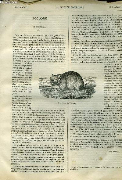 La science pour tous n 43 - Zoologie, le chinchilla par Eug. Gayot, Sur l'efficacit des paratonnerres par W. de Fonvielle, Le mouvement perptuel, dfinition du mouvement perptuel par Gdon Bresson, Des allures du cheval, tudies par la mhode