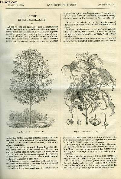 La science pour tous n 3 - Le th et ses falsifications, Agriculture - encore le rami par Victor Rendu, Sels dsinfectants, Les fourmis, Nouvelles expriences sur les combustions respiratoires, oxydation du sucre dans le systme artriel, Epaississement