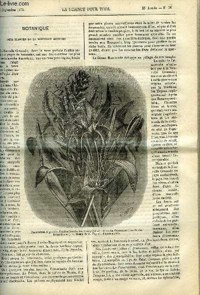 La science pour tous n 36 - Deux plantes de la nouvelle grenade, Les iles de Corail et leurs architectes par G.J. Allmann, Le sel, Encore un moyen de reconnaitre les oeufs frais, Du commerce des crabes en Espagne, Electricit du caoutchouc, Remde