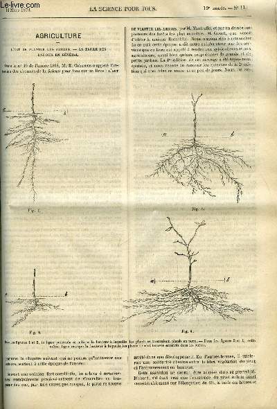 La science pour tous n 11 - L'art de planter les arbres - la taille des racines en gnral, Les apparitions lumineuses ou feux follets par Jules Lefort, Sur les eaux acides qui prennent naissance dans les volcans des Cordillres, Sur le mode