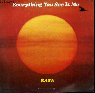 DISQUE VINYLE 33T EVERYTHING YOU SEE ME / QUESTIONS IN MY MIND / A PERFECT LOVE / JUST FOR BELIEVING / CHANTING / THE DREAM IS OVER...